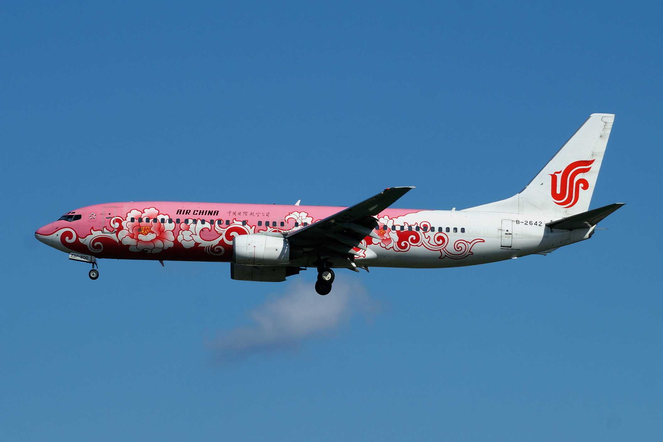 电脑翻出2014年拍的国航牡丹涂装飞机-1205 