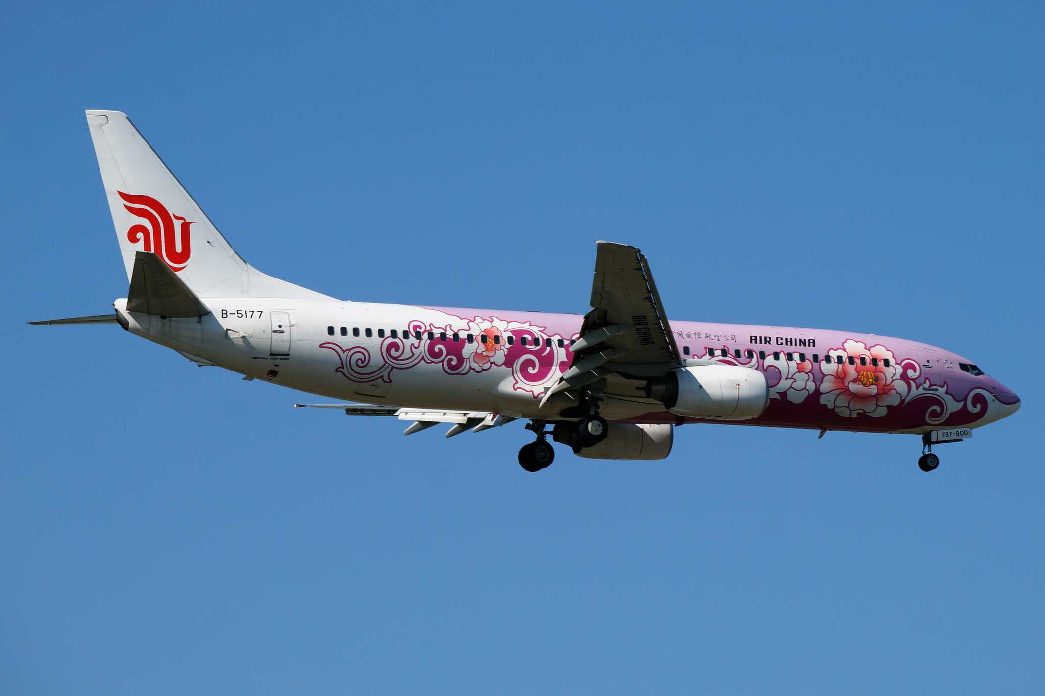 电脑翻出2014年拍的国航牡丹涂装飞机-119 