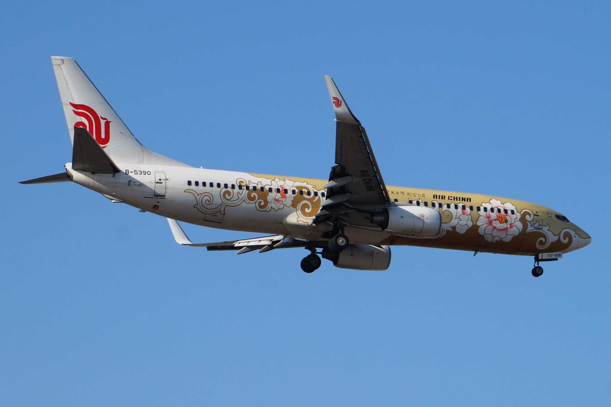 电脑翻出2014年拍的国航牡丹涂装飞机-3366 