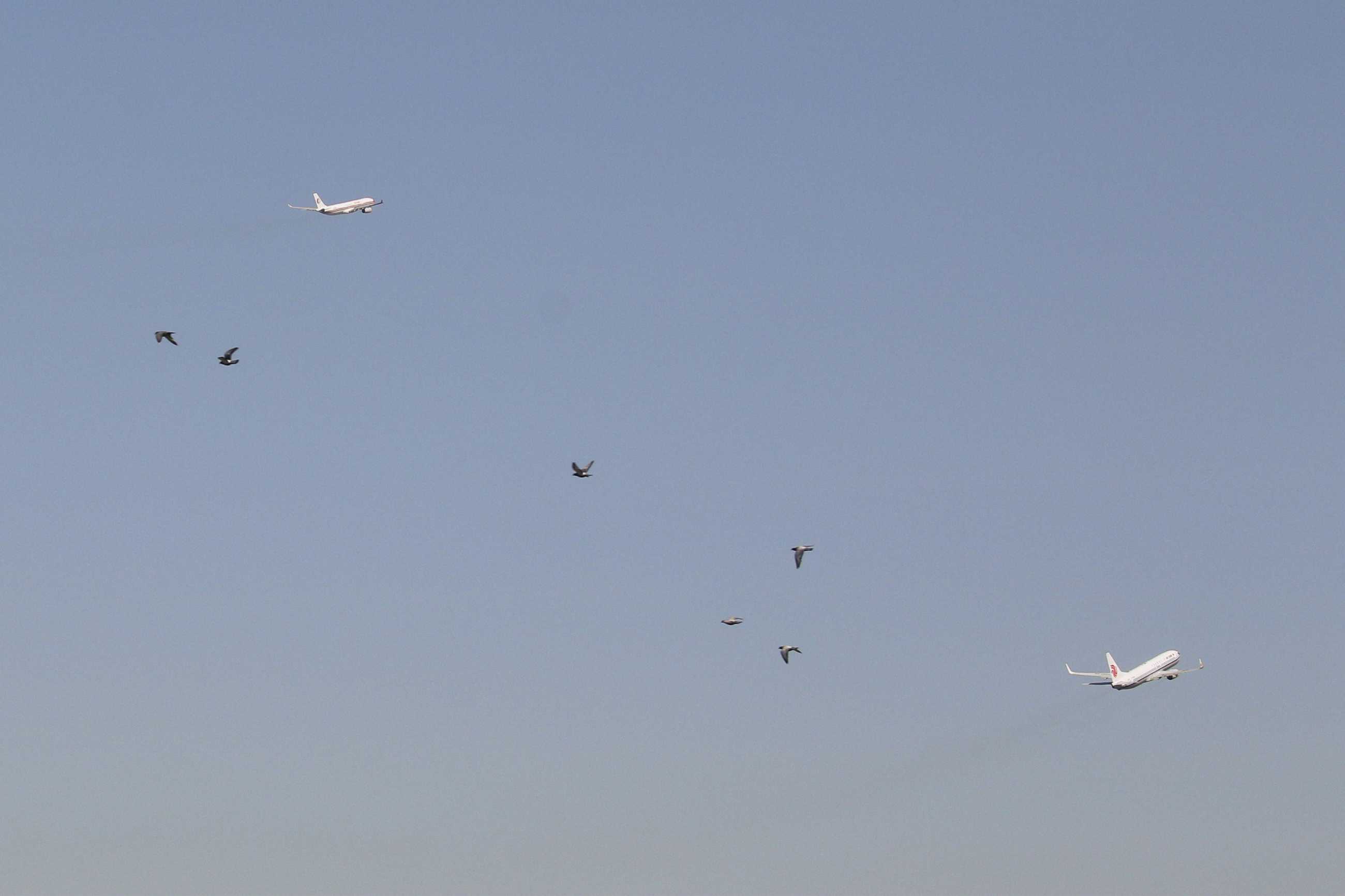 电脑翻出2016年拍的飞机3-2903 