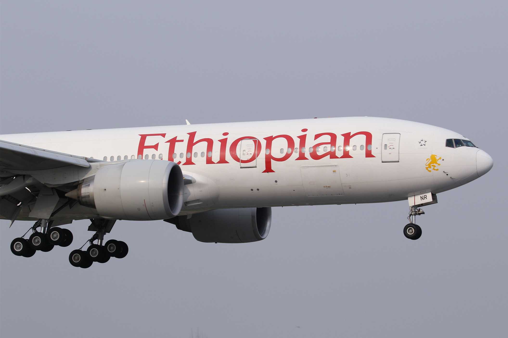 电脑翻出2016拍的图4-3863 