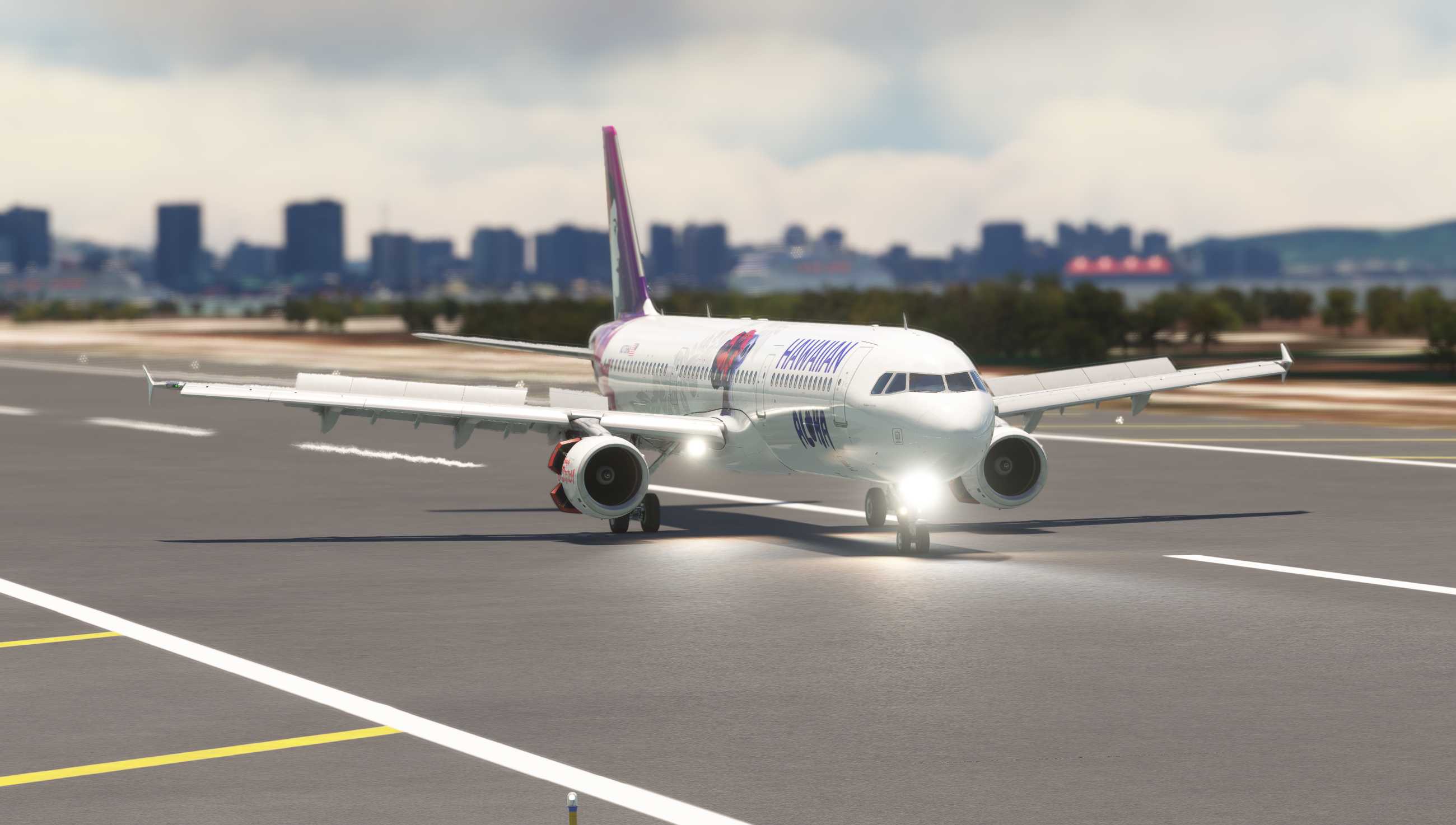 Aloha! 和史迪奇共赴夏威夷之旅-4215 