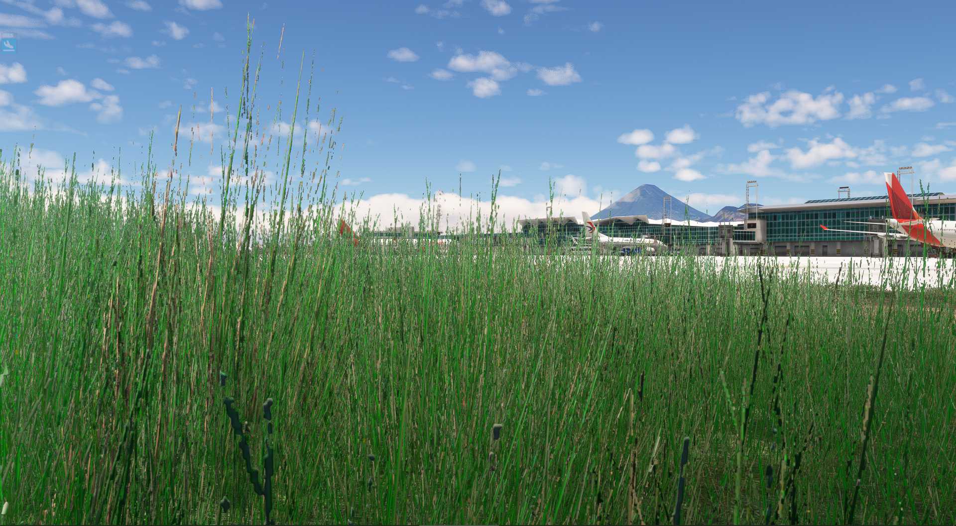 MSFS20  MGGT----MWCR-5082 