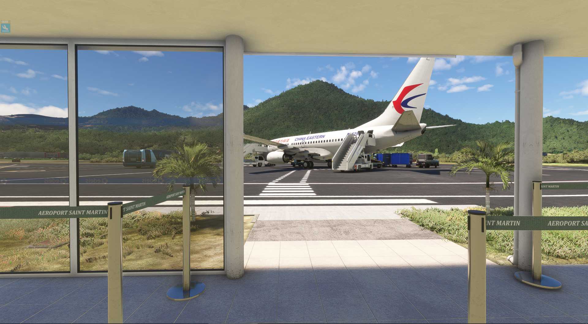 MSFS20  TFFG---TBPB-341 