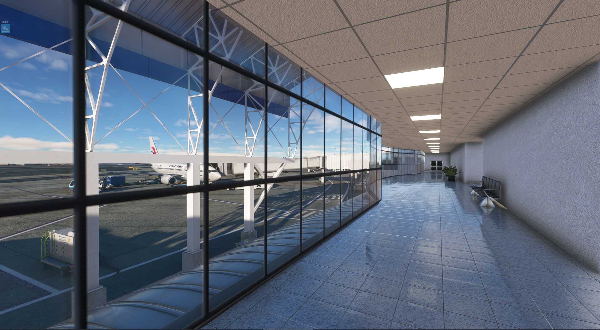 MSFS20  SLLP--SCFA-3654 