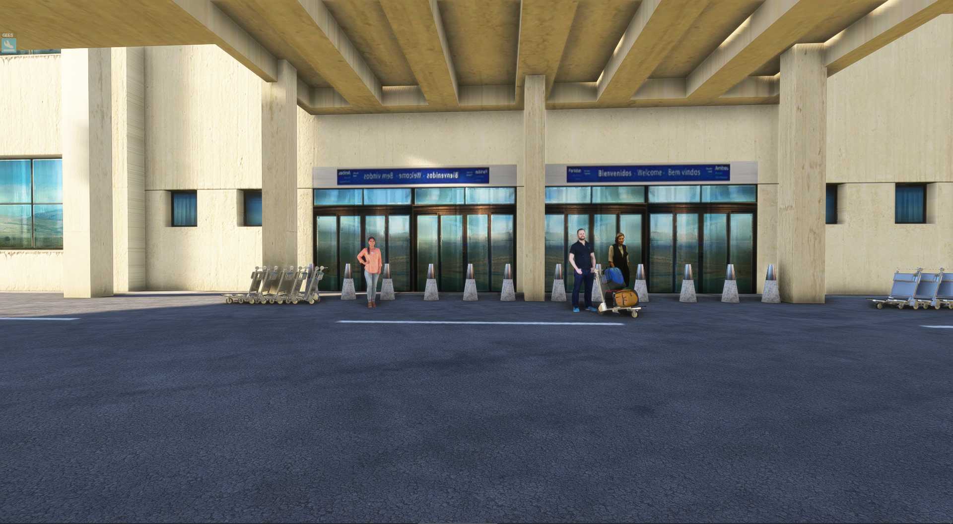 MSFS20  SAZS---SAWG-8992 