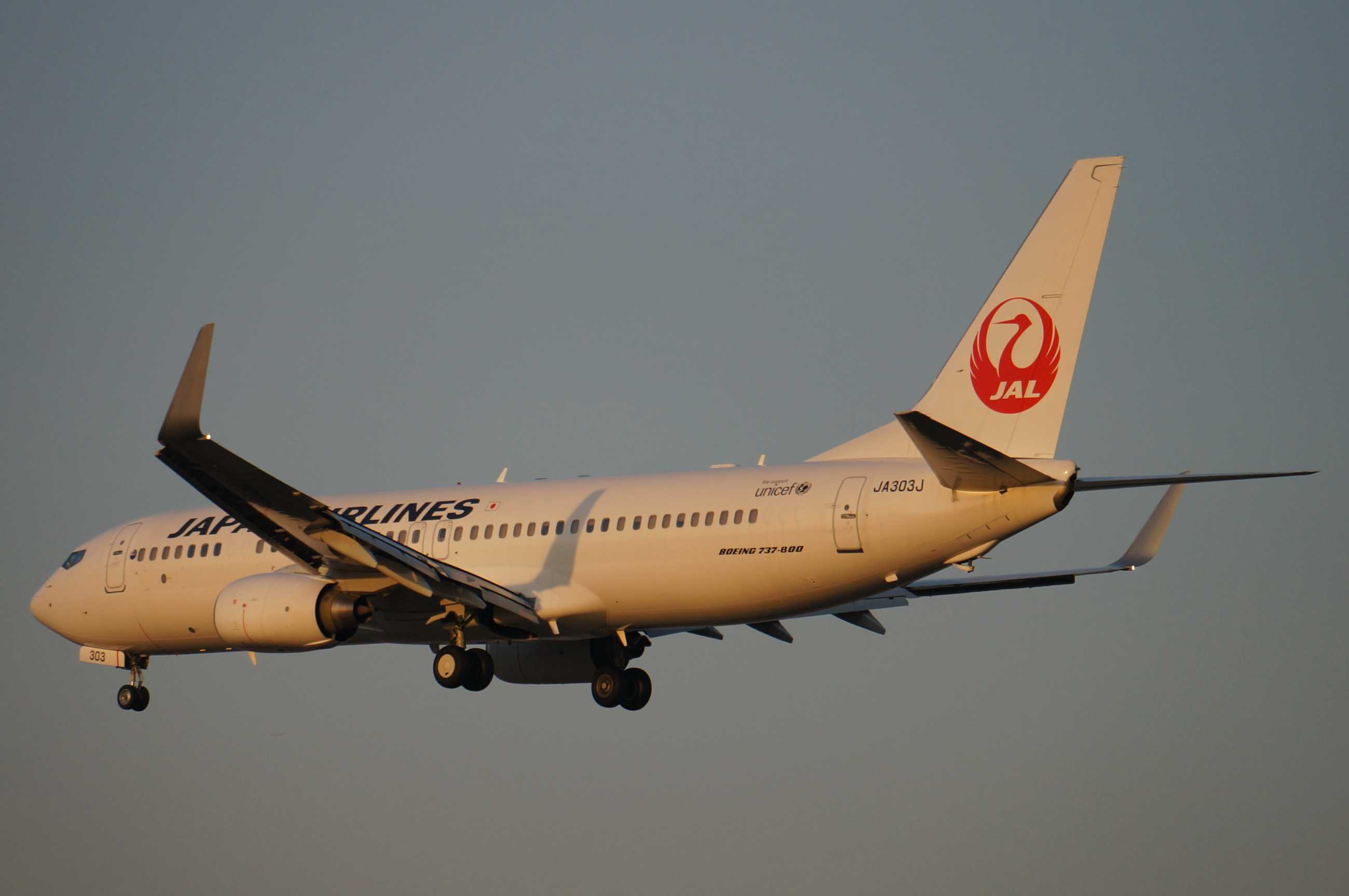 发一批2013年拍的飞机-4224 