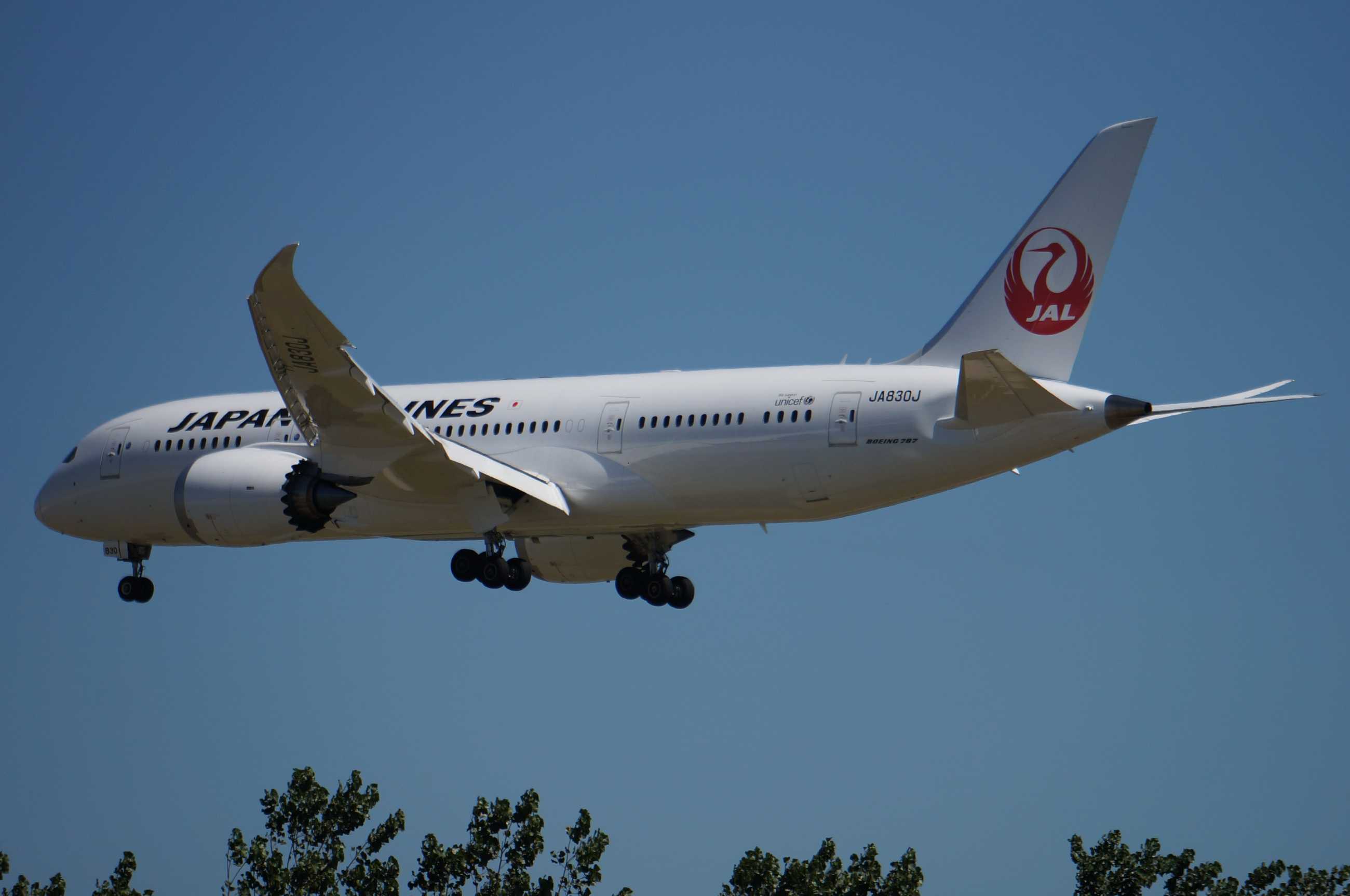 发一批2013年拍的飞机-9810 