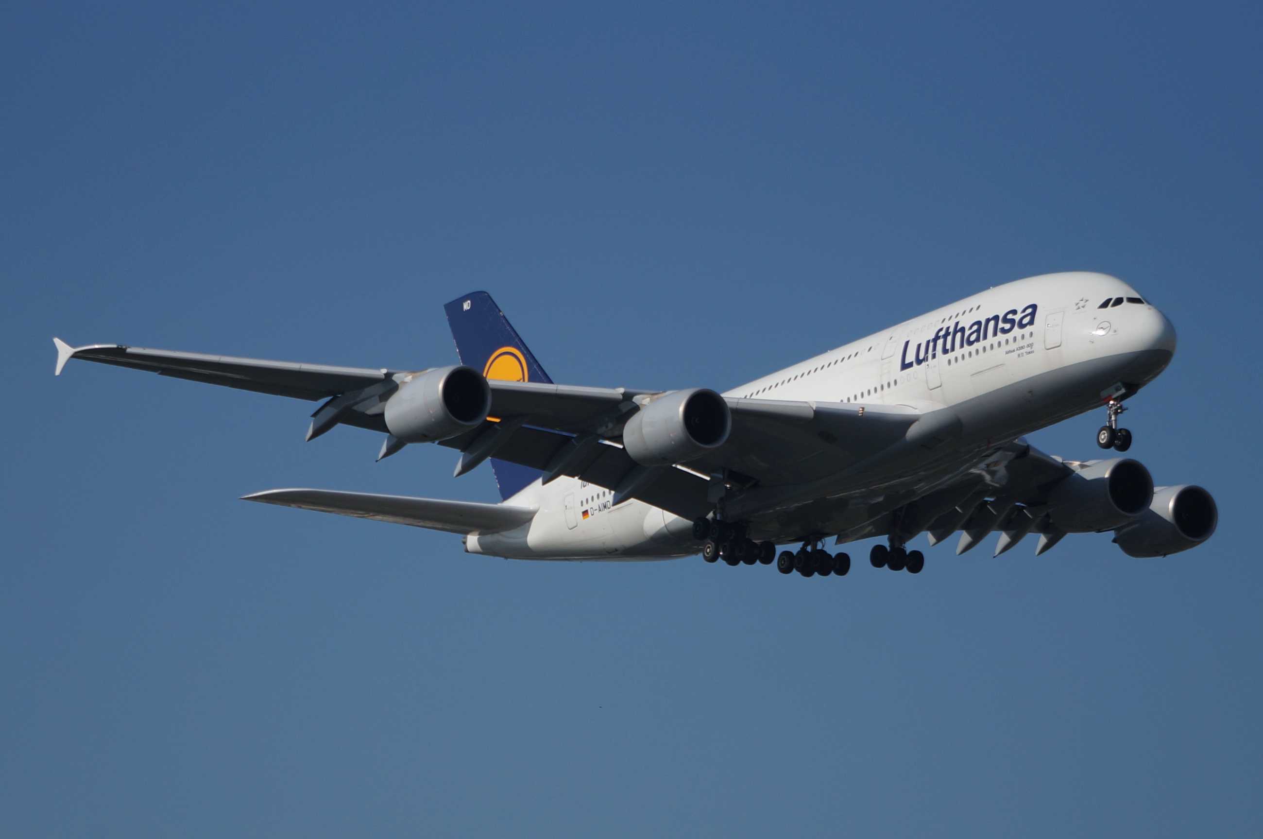 发一批2013年拍的飞机-6305 