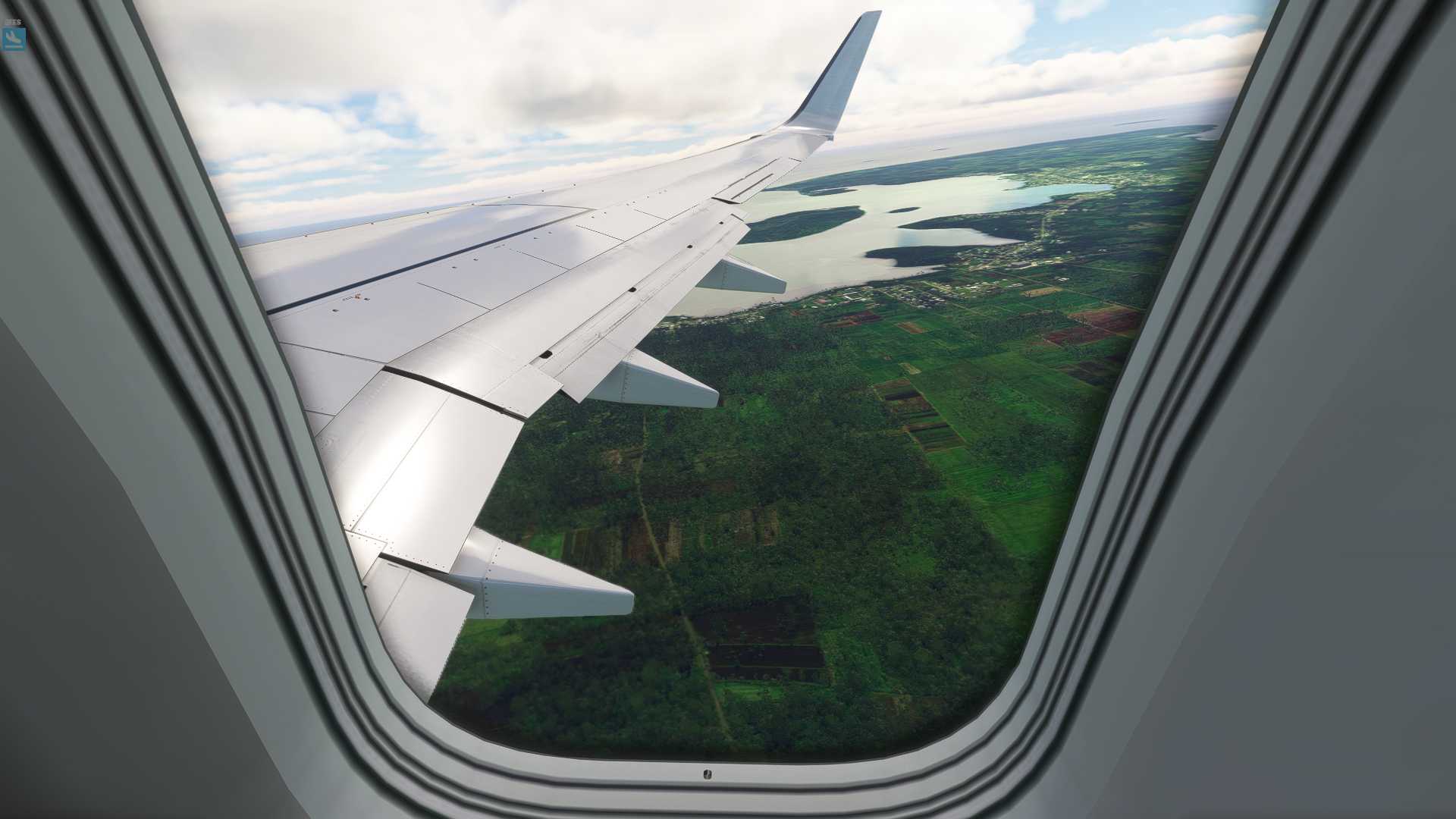 MSFS20  NFTF---YSNF-5452 