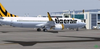 B737 Tiger @ ROIG