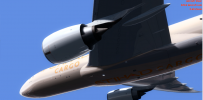 期待你们的加入-ETIHAD