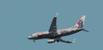 {FS9}EGLL的孔雀