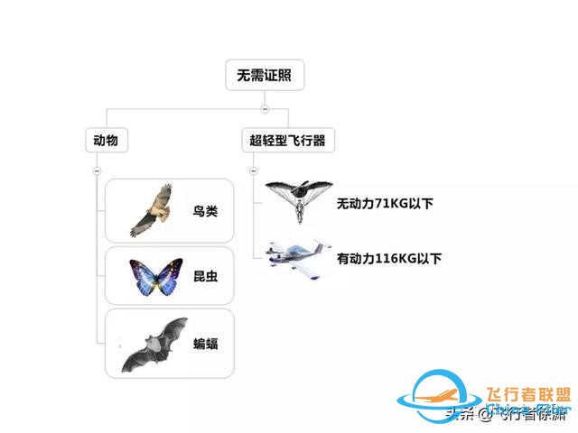 学习飞行的初级入门知识！-9426