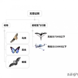 学习飞行的初级入门知识！