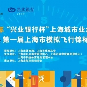 “兴业银行杯”上海城市业余联赛第一届上海市模拟飞行锦标赛