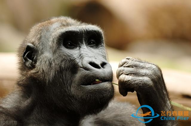 超光速飞船有多快？科学家：曲速飞行技术，是光速的2140倍-6216