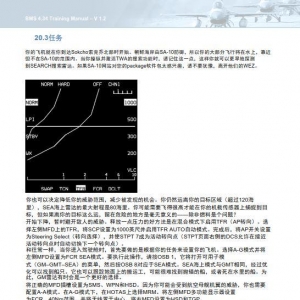 模拟飞行 BMS F-16 中文训练手册 20.3海上任务