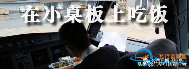 我是这样开飞机的,一举一动全部给你看清-1786 我是这样开飞机的,一举一动全部给你看清-1786