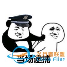 这也太刚了！为让飞行模拟更真实，开发者购买战斗机说明书遭逮捕-9212