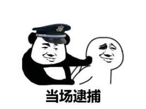 这也太刚了！为让飞行模拟更真实，开发者购买战斗机说明书遭逮捕