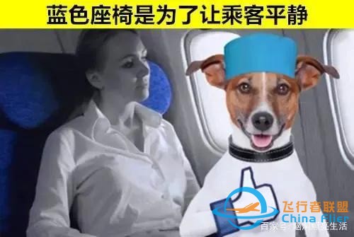 可能让你无法了解到的 与飞机有关的9个有趣小知识-2583