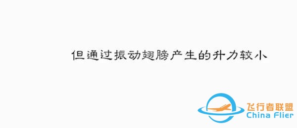 用漫画讲航空，那些年我们一起学习鸟类飞行的日子……-8859