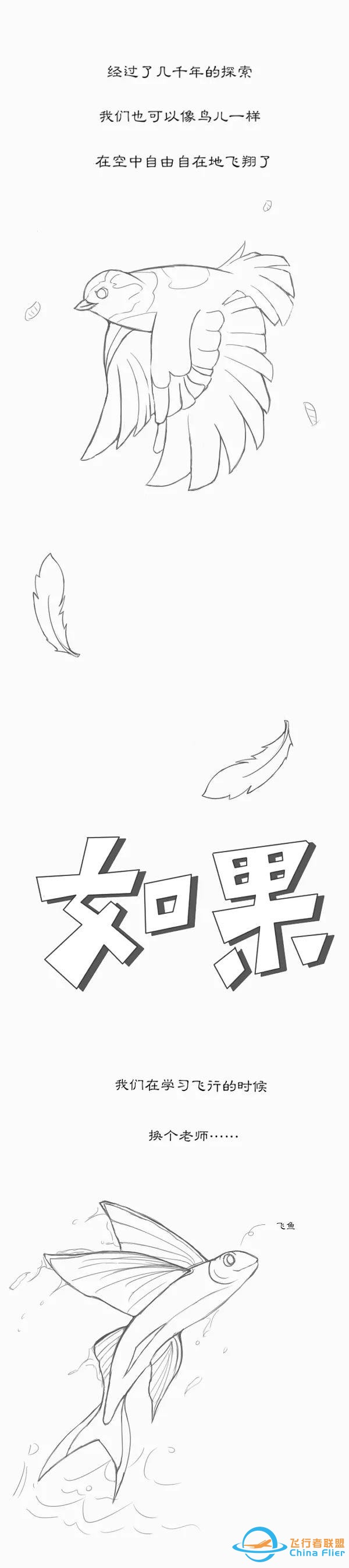 用漫画讲航空，那些年我们一起学习鸟类飞行的日子……-3774