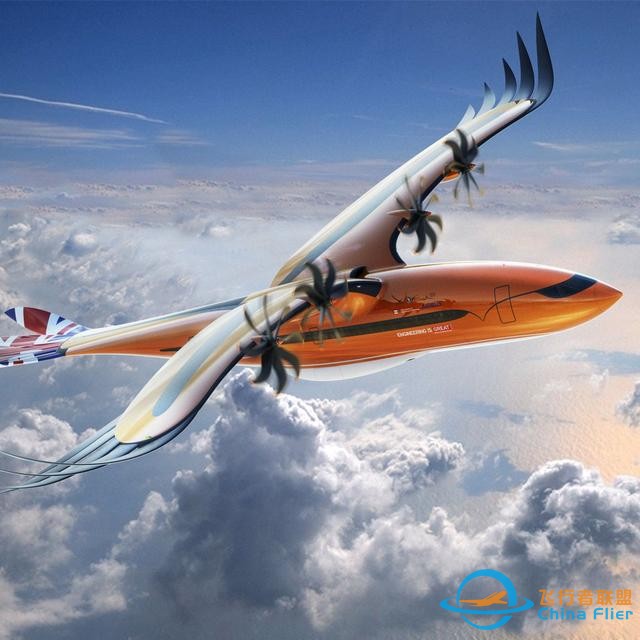 几何分析揭示了鸟类如何掌握飞行技术-3225