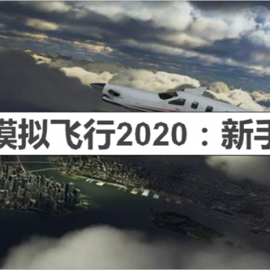 微软模拟飞行2020:新手怎么玩？