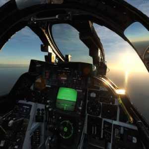 模拟飞行 DCS F-14B Tomcat雄猫战斗机 中文指南 3.1总体结构