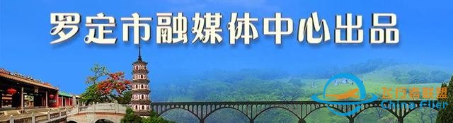 捷报！罗定学子在全国青少年模拟飞行锦标赛中获12个奖项-9525