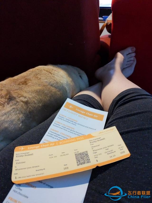 带娃在家模拟飞行15小时，引网友围观：用爱和创意抵御生活的无奈-647