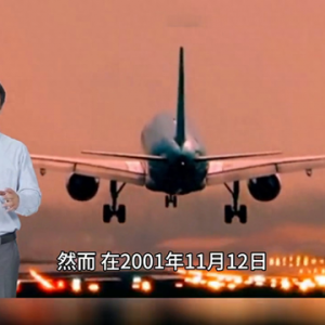 2001年11月12日，美国史上第二大空难#模拟飞行