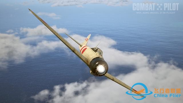 飞行模拟《战斗飞行员》Steam页面 发售日待定-6533