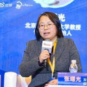 倍飞智航创始人张曙光：低空经济至少有三大挑战！
