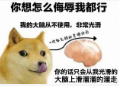 《微软飞行模拟2024》评测9.0分系列飞跃，对中文玩家最好的一代-3707