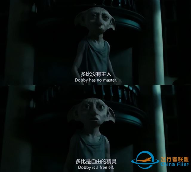 为一只小狗的漫长战争-7062