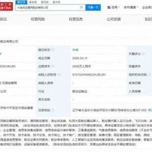 大连国际机场等成立低空通用航空公司 注册资本2000万